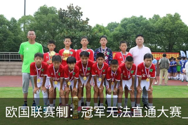 欧国联赛制：冠军无法直通大赛 各联赛存升降级